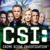 CSI S01-S15 DVDRip XviD BDRip x264-Scene thumb