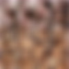 Caribbeancom June 2016 Siterip (Uncensored) [1080p] thumb