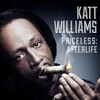Katt Williams: Priceless: Afterlife [2014] / H264 / MKV / WEB / 1080p / AC3 / Scene / DiMEPiECE thumb