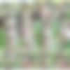 [PrivateStars.com / Private.com] Apolonia Lapiedra (Apolonia fucked on the grass / 14.10.17.) [2017 ., Gonzo, All Sex, 720p] thumb