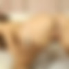 [Art-lingerie.com] 2017 Jimena Lago - 2 videos [Vignettes, glamour] [1080p, SiteRip] thumb