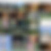 [Playboy.com / Plus.Playboy.com / PlayboyPlus.com] Playboy Playmate Videos 2015 [2015 ., Erotic, 1080p] thumbnail