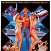 Malibu Express 1985 MULTI COMPLETE BLURAY-FULLBRUTALiTY thumb