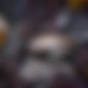 Slave Wars Episode II (Darklust) [2024, 3DCG, Animation, Tentacles, ATWT, Hardcore, Anal, Rough Sex, Bestiality, WEB-DL] [eng] [1080p] thumb