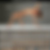 Hegre.com 2019-07 Pictures Siterip (26 picsets) thumb