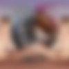 [18VR.com] Luna B-Bunny - At It Like Rabbits [24.02.2025, Babe, Blonde, Blowjob, Cowgirl, Cum In Mouth, Doggy Style, Footjob, Missionary, Reverse Cowgirl, Tattoo, Virtual Reality, SideBySide, 8K, 4096p, SiteRip] [Oculus Rift / Quest 2 / Vive] thumb