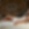[Errotica-Archives.com] 2016-05-19 Zara ( Milana G, Natalia T ) - Lush [Solo, Posing] [2883x4324, 79 photo] thumb