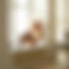 [MetArt.com] 2013-03-12 Milana G - Empiria [Solo, Erotic, Posing, Close Ups, Breasts] [1080p] thumb
