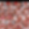 PJGirls.com Jan-Dec 2020 thumbnail