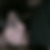 SexAndSubmission.com - Sasha Grey /   -   (SexAndSubmission.com) [2007 ., Bdsm, Masturbation, Oral, All Sex, 720p, HDRip] thumb