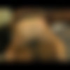 theslutsnextdoor.com - Miss T thumbnail