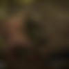 [BondageLife.com]    24.01.2020 (339 ) [2018-2020 ., BDSM, 720p, SiteRip] thumb