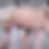 [Onlyfans.com] KittyKum (KittyKumX, Kittyx Kum, Kitty Kum) Pussycat and Dildo [uncen] [2024 ., Masturbation, Dildo, Solo, 1080p] thumb