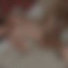 [18xgirls.com] ( Blair ) Afternoon Party [2011 ., All Sex. Hardcore,Teen] thumbnail