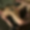 [StrictRestraint.com / SocietySM.com / DungeonCorp.com] Skylar Green / Bondage Newbie / Massively Vibrated Pussy / 2  [2015 ., Natural Tits, Teen, Toys, Rough Sex, BDSM, Bondage, Domination, Humiliation, DeepThroat, 720p, SATRip] thumbnail