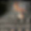 Hegre.com 2019-07 Pictures Siterip (26 picsets) thumb
