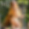 [MetartNetwork.com] 2024-07 [Erotic, Solo, Posing][256  / 28639  / Med-Res] thumbnail
