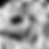 コミック GEE / COMIC GEE [2019-2023, 28 ] [cen] [Ahegao, Anal sex, BDSM, Big tits/Big breasts, Corruption, DFC/Tiny tits/Small Breasts, NTR, Rape] [jap] thumb