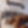 theslutsnextdoor.com - Megan Rae thumbnail