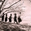 Twenty-Four Eyes [1954] / H264 / MKV / Blu-ray / 1080p / FLAC / Japanese / Subs thumb
