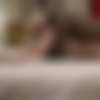 [FuckingDungeon.com / DungeonCorp.com] (3 ) January 26, 2012 | Supreme Pussy: Breaking Her In Pt II | Whitney Grace [2012 ., BDSM, Bondage, Domination, All Sex, HD 720p, SiteRip, AVC] thumb