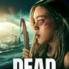 Dead Sea [2024] / H264 / m2ts / Blu-ray / 1080p / DTS / Subs / Scene / MONUMENT thumb