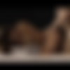 [SexArt.com] Tina Tiny & Lutro - Seduction [2021.05.05, All Sex, Barefoot, Bedroom, Fingering, Creampie, Panties, Blowjob, Breasts, Brunette, Handjob, Striptease, 360p] thumb