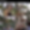 VivThomas. .Foxy.Alissa. And. Hayli.Sanders .Lovely.View. .2160p thumb