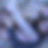 [FERRONETWORK.com / StraponScreen.com]       (Rosa & Hubert/ g776) (11.04.2012) (Olga Barz) [2012, Russian, Dildo, Strapon, Stockings, Anal, SiteRip, 720P] thumb