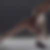 [Hegre-Art.com] 2015-02-17 Rose - Form And Figure [Erotic, 1080p] thumb