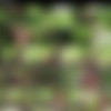 [TheEnglishMansion.com] Video Pack [2019] (51 Videos) thumbnail