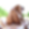 [Lubed.com] Sybil (Poolside Facial) [05.12.2019, All Sex, Cum Shot, Blowjob, Oil, Toys, Piercing, Small Tits, Natural Tits, 2160p] thumb