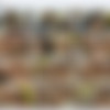 [FuckStudies.com] FuckStudies.com. Katrina. [ All sex, Teen., 720p.,HD]*(Release Date:August 14, 2010) 18XGirls.com thumb