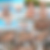MPLStudios.com 2024 Pictures Siterip (233 picsets) thumb