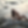 [Photodromm.com] Photodromm.com 95  (10.2020 - 05.2021) [Big Tits, Solo, Posing, Glamour, Softcore] [1080p] thumbnail