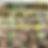 MoneyTalks.com SD Siterip thumbnail