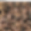 facefucking.com/facialabuse SD pack scenes 515-537 thumbnail