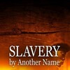 Slavery by Another Name [2012] / H264 / MKV / WEB / 1080p / AC3 / Subs / TEPES thumb