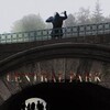 Central Park 2017 BluRay 1080p Dts-HDMa5 1 + DUAL AVC-PiR8 thumb