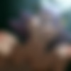 [ART, Comix] Kinkymation Collection /   Kinkymation (Kinkymation) [Straight, Anal, Oral, Vaginal, Solo, Creampie, Bukkake, Titsjob, Blowjob, Group sex, Yuri/Lesbian, Big Tits, Monster Girl] [JPG PNG] [eng, rus] thumb