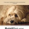 Benji Off the Leash 2004 1080p BluRay x264-OFT thumb