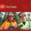 The Forest 2024 1080p HDTV H264-CBFM thumb
