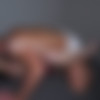 [BrokenSluts.net / PornForce.com] Matty (Matty Is Back - Passionate Rough Sex Makes Her Brain Melt) [2023 ., Hardcore, Russian, All Sex, 720p] thumbnail