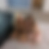 [NetVideoGirls.com] Angelina & Emma [2017 ., Casting, Threesome FFM, Ball Licking, Deep Throat, 1080p] thumb