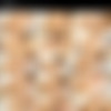 [ProlapseParty.com] - (42 ) [2012-2013 ., Prolapse, Rosebutt, Group, Fisting] thumb