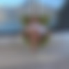 [InTheCrack.com] #1498 Cherie DeVille [2019 ., Solo, Close ups, Toys, Indoor, 720p] thumb