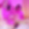 [onlyfans.com] Stefania Ferrario (Stephanie Kightley), Teale Coco - Double Dildo [2024, Big Tits, Dildo, Girl/Girl, Lesbian, Natural Tits, Softcore, 1080p, SiteRip] thumb