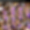[manyvids][maxinex.com] Megapack thumbnail