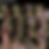 [ALSScan.com] Hannah Hays - Pollinating BTS - [1080p] thumb