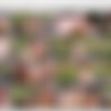 [ElegantAnal.com / Babes.com] Henessy - Beach Bum (13.11.2017) [Anal, Anal Creampie, All Sex] thumb